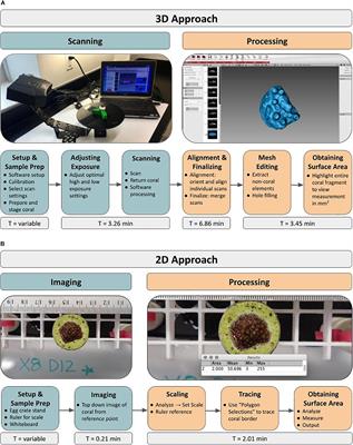 3D Scanning as a Tool to Measure Growth Rates of Live Coral Microfragments Used for Coral Reef Restoration